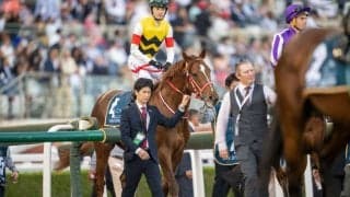 【ケンタッキーダービー】コンティノアール・坂井瑠星騎手「想像以上に（馬場は）硬い」