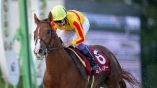 【兵庫CS】武豊 ミトノオーが6馬身差の圧勝！圧巻の逃走劇を演じる