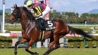 NHKマイルＣは再び100万馬券が飛び出すか。過去の激走パターンから導き出した高配当の使者はこの５頭