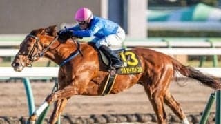 雨予報のNHKマイルC 芝道悪のGIはM.デムーロ騎手に注目