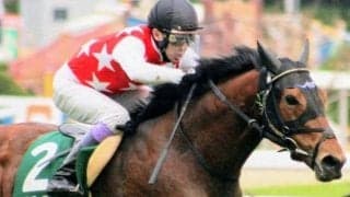 NHKマイルCでディープ系牡馬が芝道悪GI初勝利なるか エエヤンなど有力馬4頭が挑戦