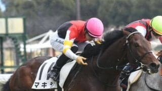 【京都新聞杯予想】好走のバロメーターは騎手!? 期待度が高まる乗り替わりとは