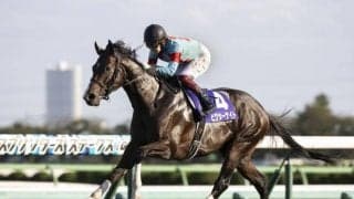 【京王杯SC想定】ピクシーナイトやトゥラヴェスーラなど20頭