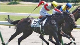 休み明け好成績の中内田厩舎 京都新聞杯はダノントルネードの好走期待