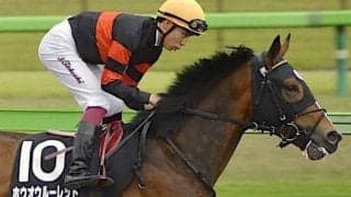 前走は参考外のホウオウルーレット 立夏Sで巻き返し必至だ