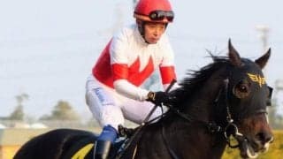 坂路好時計のスワーヴシャルル 得意の舞台・越後Sでは要注意