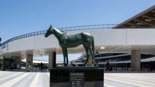 【装蹄師・西内荘コラム】新装京都競馬場を散策