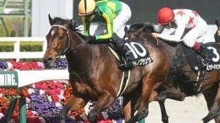 【今日の注目ポイント】京都で京都新聞杯、東京ではダービーTRプリンシパルS