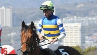 【京都新聞杯予想】皐月賞に次ぐ頭数のダービー馬を世に送る前哨戦