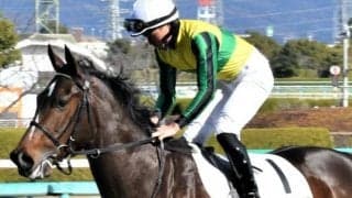 【土曜京都1R予想】距離短縮で一変期待 先行力で一気に押し切る