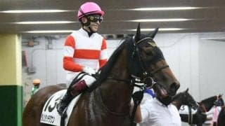 【NHKマイルC】初夏の気候が激走を呼ぶ!? 穴馬台頭で大波乱も/三宅誠