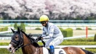 【土曜東京7R】前走は負けて強し アルナージェインが決める