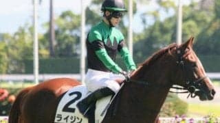 【土曜京都6R】前走ハイレベル戦で5着のライジン 今度は勝ち負けだ