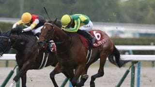 【京都新聞杯結果】サトノグランツが追い比べを制して3連勝 サトノダイヤモンド産駒は重賞初V