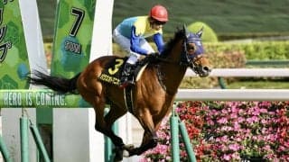 【プリンシパルS】パクスオトマニカがダービーへの切符を獲得