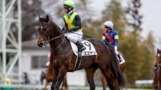 【NHKマイルC予想】前走人気馬が他を圧倒!? 勝負の行方を決める「5頭」の取捨選択