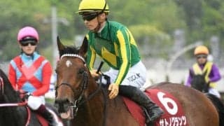 【京都新聞杯】売上は39億8809万8400円で約2億円の増加