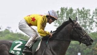 【新潟大賞典】売上は33億2531万5600円で昨年より約2.4億円の増加