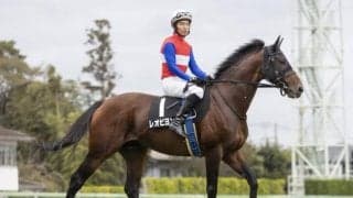 【先週のJRA抹消馬】21年の中山大障害3着馬レオビヨンド、ダート短距離戦で活躍した10歳馬ローレルジャックなど