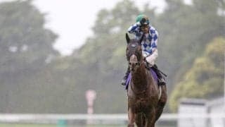 【NHKマイルC】売上は162億696万2700円で昨年より約8億円減少