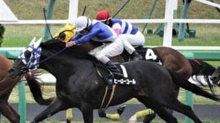 【羽田盃枠順】南関東の牡馬クラシックが開幕 ヒーローコールは4枠8番