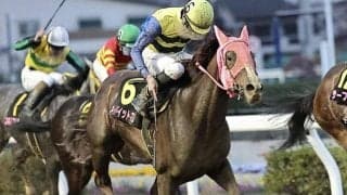 【東京プリンセス賞枠順】南関東の3歳女王決定戦 二冠狙うメイドイットマムは1枠1番