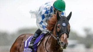 ジャンポケ斉藤が会心の予想的中！ NHKマイルCを9番人気本命で“単複”仕留める