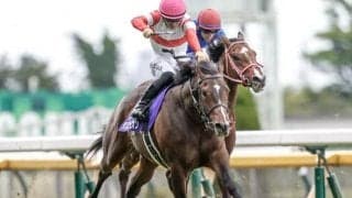 【京王杯SC想定騎手】ダノンスコーピオンは川田将雅騎手、ピクシーナイトは戸崎圭太騎手