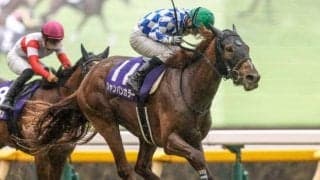 成長力富むドゥラメンテ産駒 NHKマイルCだけでなく先の活躍も期待