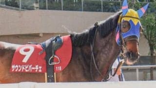 前走1着は\"消し馬\"!? 連勝でのヴィクトリアM覇者はわずか1頭のみ