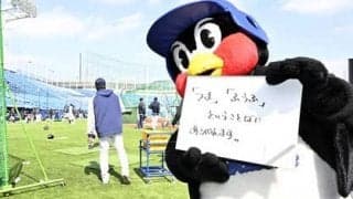 つば九郎の人生相談「妻の愛情が年々薄れていっている感じがします」