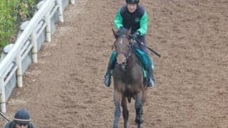 ルシュクルの2021(ロータスワンド)など、先週のゲート試験/栗東トレセンニュース