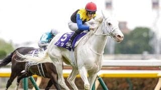 クロフネ産駒が歴代1位タイの19年連続JRA重賞制覇へ ヴィクトリアMにソダシ参戦