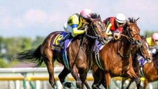 【ヴィクトリアM予想オッズ】スターズオンアースが予想1番人気