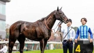 【ヴィクトリアM】絶好調の菅原明良騎手 12回目のJRA・GI挑戦で初制覇なるか