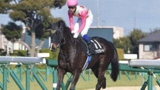 【京都ハイジャンプ予想オッズ】ダイシンクローバーが予想1番人気