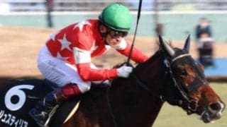 ディープ×ストームキャットの黄金配合は連対率3割超 過去3勝の好相性厩舎も後押しにGI制覇だ