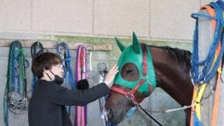 乗り替わりを巡る騎手同士のリスペクト