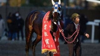 重賞でマンダリンヒーロー破ったヒーローコール 南関クラシックタイトル獲得なるか/羽田盃注目馬