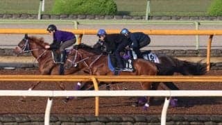 ファントムシーフ、日本ダービー2週前追い切り速報/栗東トレセンニュース