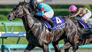 京王杯SCは3連覇中の高松宮記念組を狙え 今年は精鋭4頭がエントリー