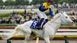 ソダシ＆メイケイエール3回目の“同一族対決”に注目 勝てば単独トップのJRA重賞勝利数に