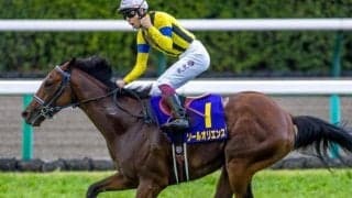 無敗の二冠に挑むソールオリエンスなど 日本ダービー出走想定馬19頭