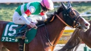 【ヴィクトリアM】休み明けは連対率100％のナミュール 悲願のGI初制覇なるか