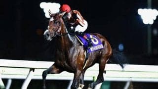 【大井・羽田盃結果】ミックファイアが6馬身差V デビュー4連勝で南関クラシック初戦を制す