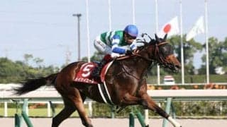 豪華な顔ぶれのヴィクトリアマイルで穴を開けるのは？ 期待は「東京・芝1600ｍ戦」向きな血統を持つミッキーアイル産駒２頭