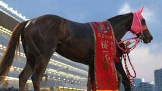 5年連続の二冠馬誕生なるか 南関東3歳女王決定戦/東京プリンセス賞注目馬