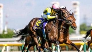 【ヴィクトリアマイル出走馬・騎手確定】スターズオンアース＆ルメール騎手、ソダシ＆レーン騎手など16頭