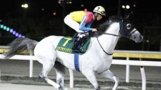 23年マーチS覇者ハヤブサナンデクンが登録抹消 今後は東京競馬場で乗馬に