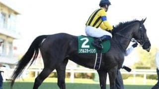 【京都ハイジャンプ出走馬・騎手確定】ダイシンクローバー＆森一馬騎手、テリオスルイ＆中村将之騎手など11頭